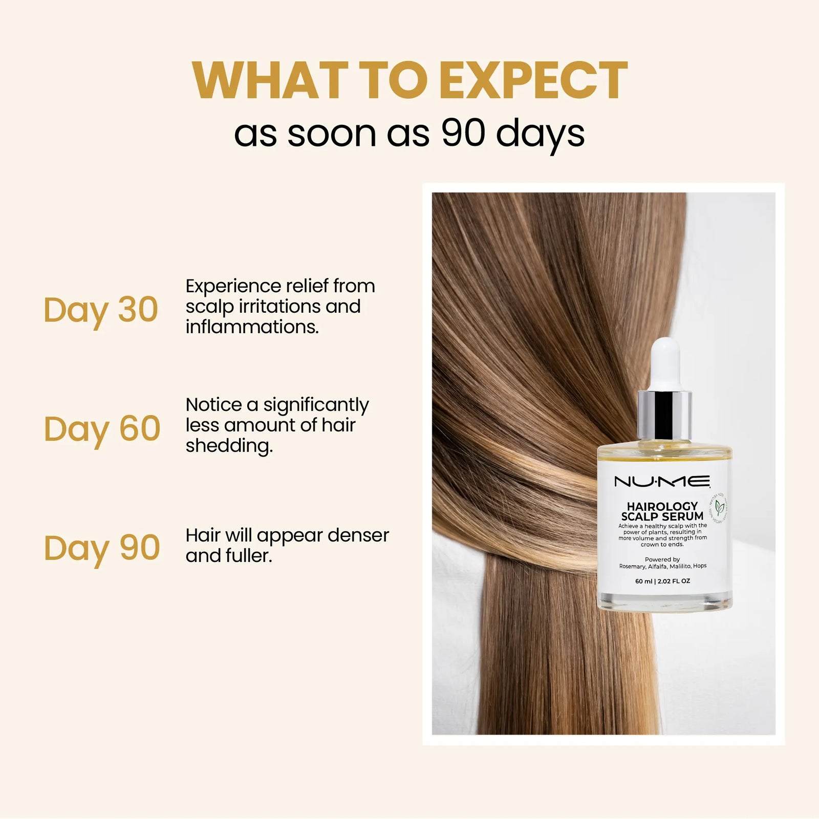 Sérum de support du cuir chevelu végétalien - soins quotidiens pour les cheveux éclaircissants