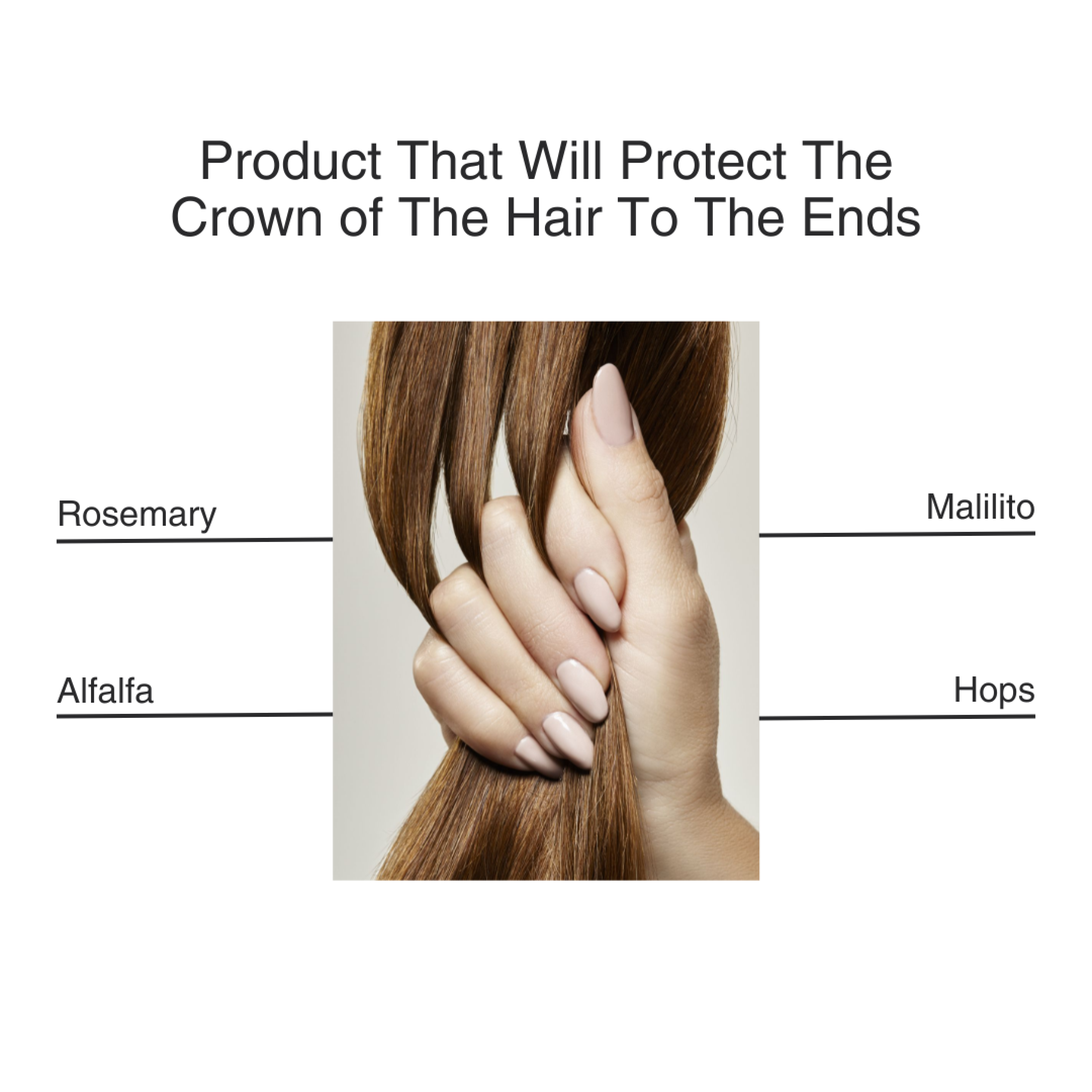 Vegan Scalp Support Serum – Daily care for thinning hair