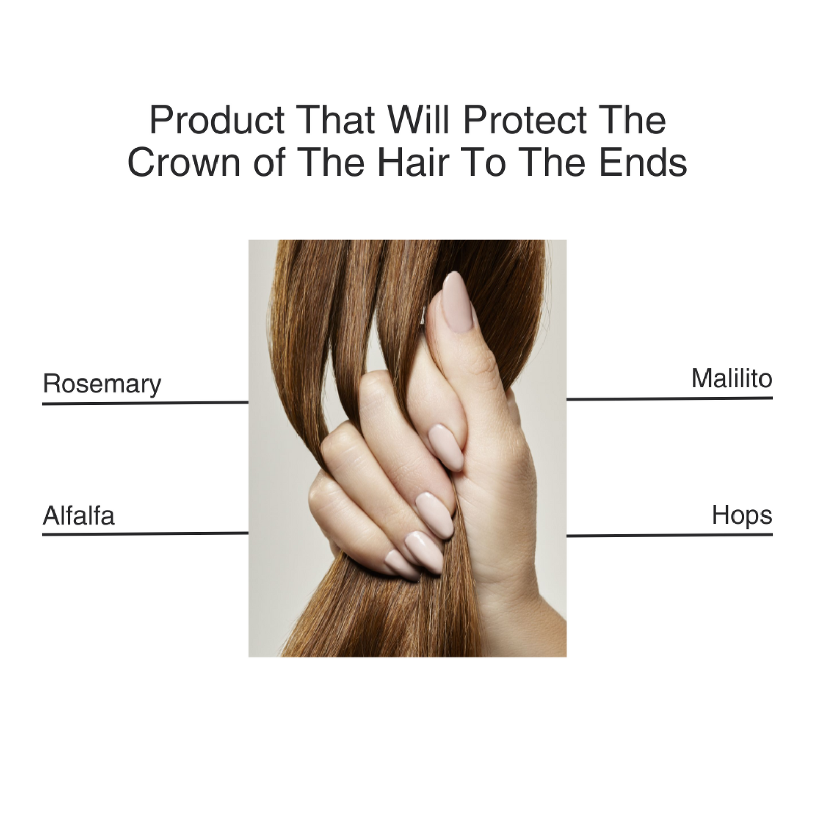 Sérum de support du cuir chevelu végétalien - soins quotidiens pour les cheveux éclaircissants