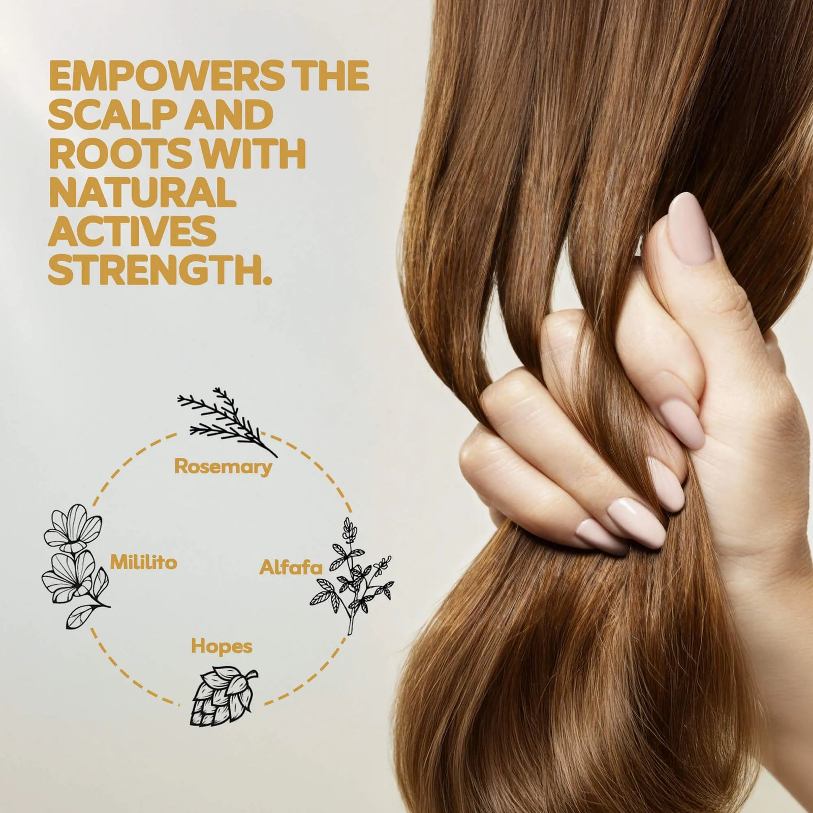 Vegan Scalp Support Serum – Daily care for thinning hair